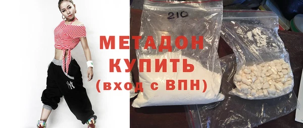шишки Няндома