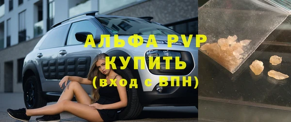 шишки Няндома