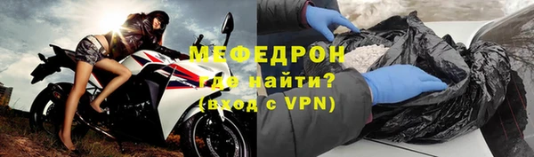 шишки Няндома