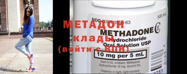 шишки Няндома