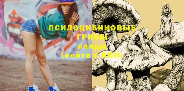 ешки Новозыбков