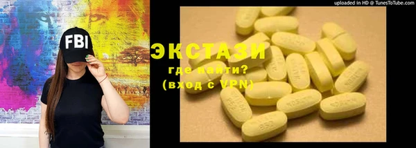 шишки Няндома