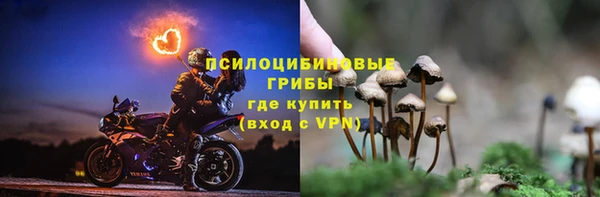 шишки Няндома