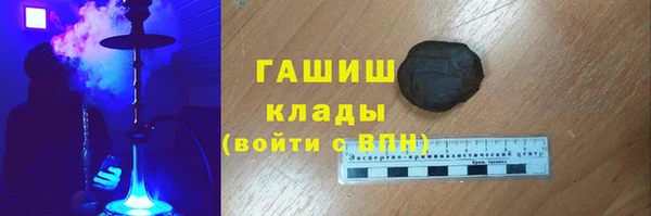 шишки Няндома