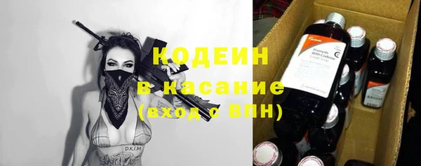 крисы Новодвинск