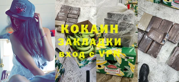 шишки Няндома