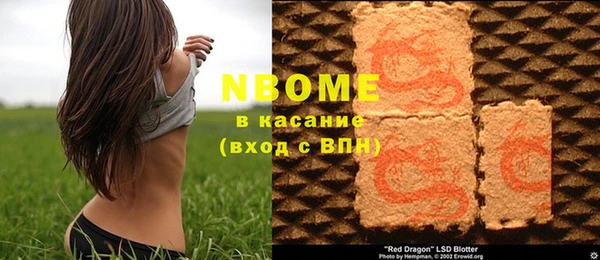 шишки Няндома