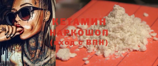 шишки Няндома