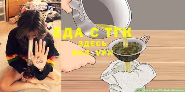 шишки Няндома