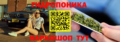 гидра Заводоуковск