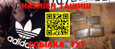 гидра Заводоуковск